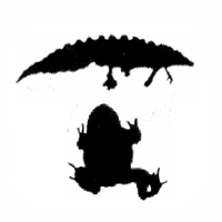 Amphibians