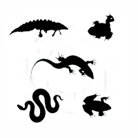 The Animals